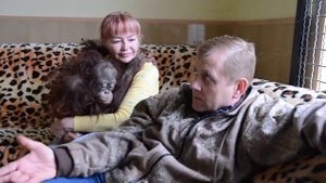 Сафари парк львов Тайган