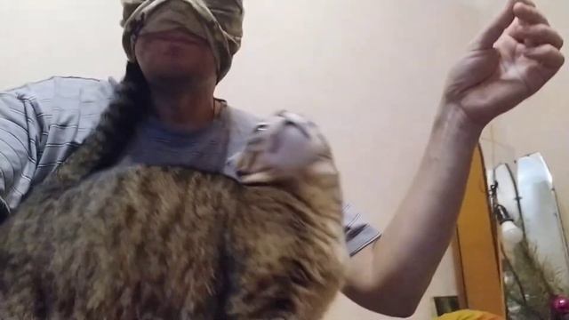 КОШКА МУРКА ЛЮБИТ КАЛЬМАРЫ К ПИВУ смотреть онлайн