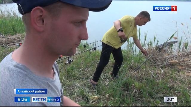 Соревнования по командной ловле карпа проходили в Алтайском районе