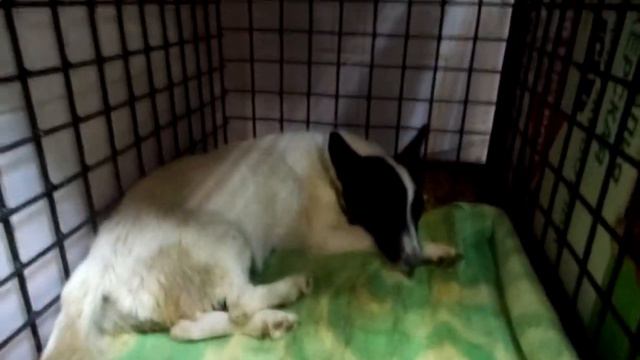 Жуля с ГК. смотреть онлайн