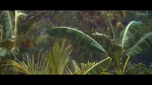 Enya - It's In The Rain