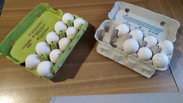 Яйценоскость зимой кур несушек Декалб Уайт