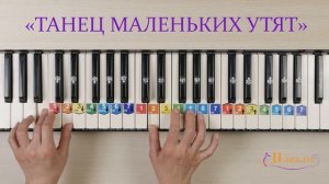 Танец маленьких утят с аккордами. Как играть