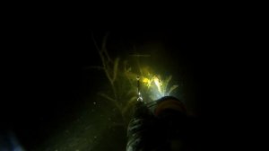 Подводная охота Краснодарский край Анапа