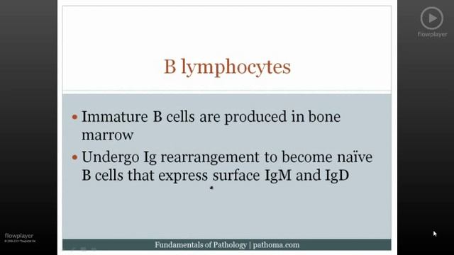 Pathoma USMLE - II ГЛАВА - 4.Хроническое воспаление