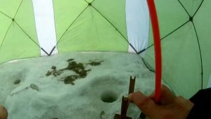 Ловля камбалы, Тавричанка мыс Чайки . Зимняя рыбалка .