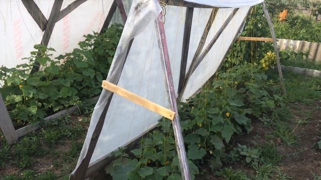 высокие грядки для огурцов своими руками. смотреть онлайн