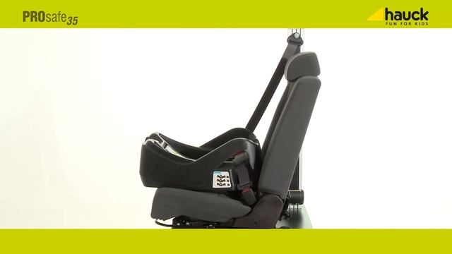 ProSafe35 смотреть онлайн