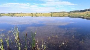 ЛОВЛЯ ОКУНЯ НА СПИННИНГ | БЛЕСНА КОСИТ ОКУНЯ НА ПЛОТИНЕ