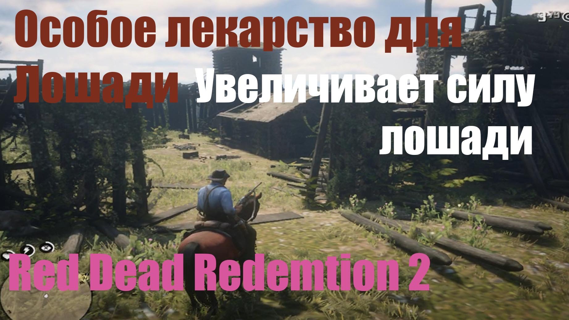 Red Dead Redemption 2 - Рецепт Особое лекарство для Лошади