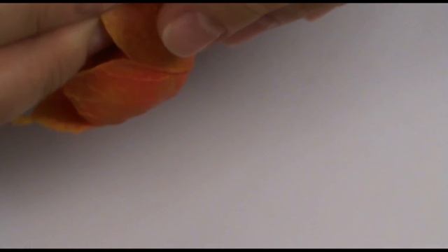физалис из холодного фарфора  (полимерной глины)