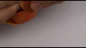 физалис из холодного фарфора  (полимерной глины)