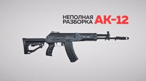 Как разобрать АК-12? Инструкция в 3D