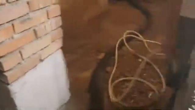 Заливка полов в подвале частного дома с ипользованием бетононасоса и трассы! Красноярск