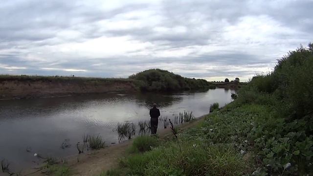 Которосль,поиск новых мест в верховье.(2015 рыбалка) ТРИ ПЕСКАРЯ