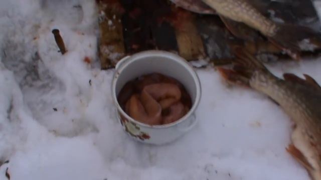 Разделка щуки. Икра. смотреть онлайн