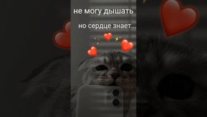 не могу дышать но сердце знает