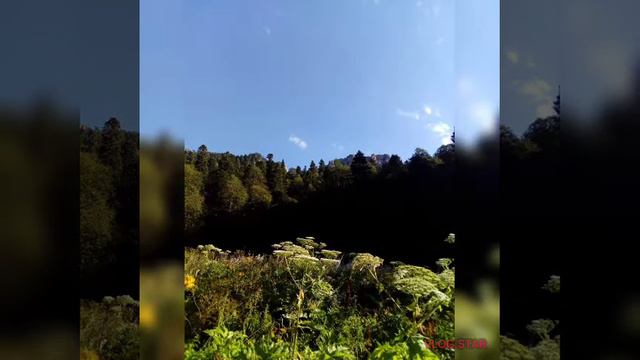красоты Кавказа под прекрасную музыку из к/ф"Цыган"