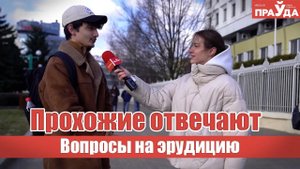 Вопросы на эрудицию для прохожих. Кто написал «Сказку о рыбаке и рыбке», откуда родом Альфред Нобель