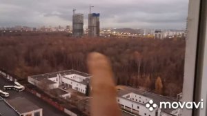 Как я храню квашеную капусту / моя морозилка / удобный способ заморозки ягод / вид из окна высотки