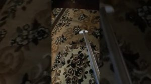 Моющий пылесос вихрь