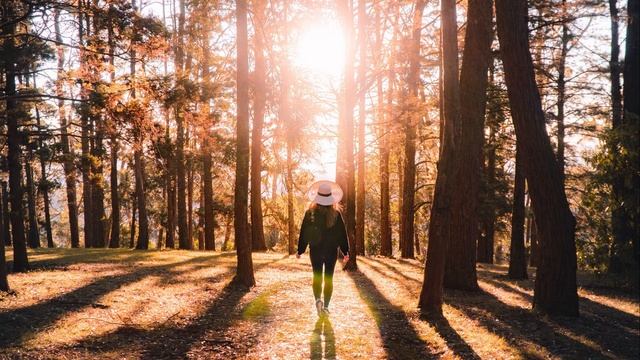 Athene - Wanderer смотреть онлайн