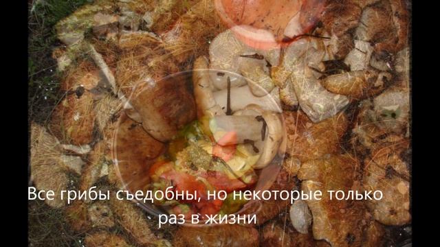 Гастрономия