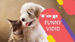 ?? Best coub,приколы 2022,extra coub,coub mix,угар,memes ??