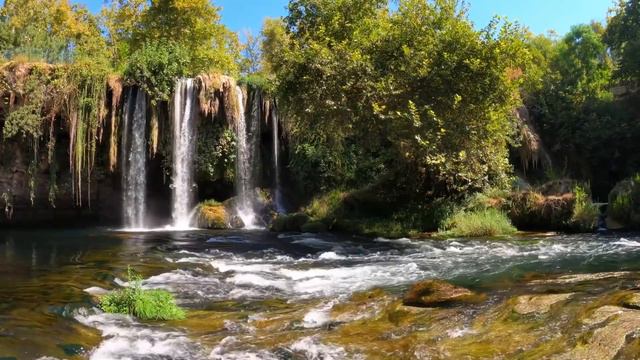 6 день Размышления, посвященные своему Ангелу Хранителю на каждый день месяца смотреть онлайн