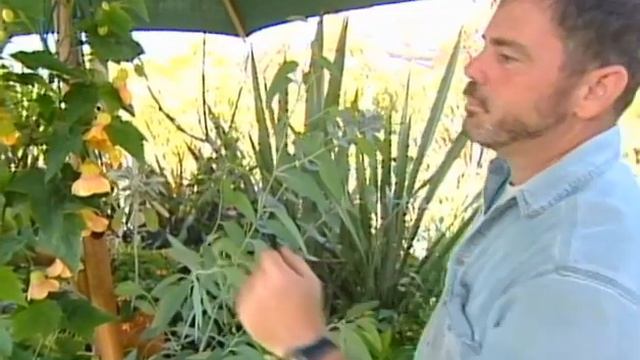 Cistus Design Nursery смотреть онлайн