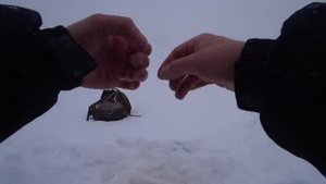 Январь. Глухозимье. Снегопад. Рыбалка на судака зимой.