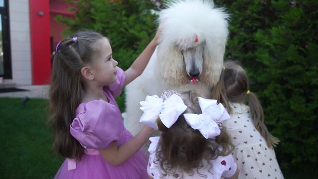 День рождения Вики