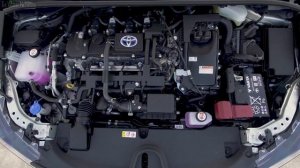 2019 Toyota Corolla Touring Sports 1.8L Hybrid | Exterior, Interior (EU Spec)