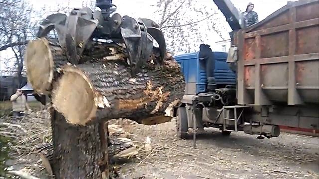 Работа ломовоза, вывоз веток и порубочных остатков, Екатеринбург, Свердловская область