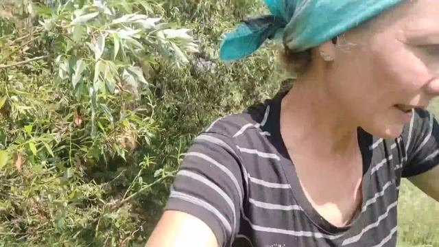 Не хочу ни каких коров.У нас теперь нет коров.Бежим с козами за покупателем смотреть онлайн