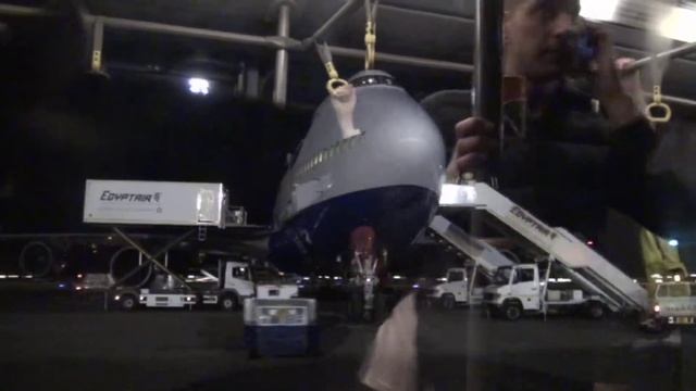 november. egypt. trailer смотреть онлайн