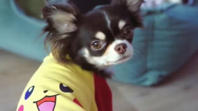 Юми Чу (Покинула чат) смотреть онлайн