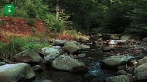 Два ракаата, лучшие чем весь этот мир | Сунна перед фаджром | Абу Яхья Крымский