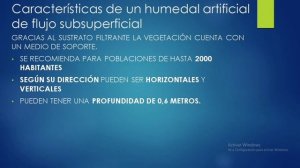 ??♂️ Diseño de Humedales Artificiales para el tratamiento de aguas residuales