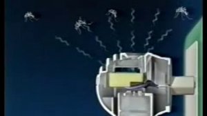 РАПТОР 2000