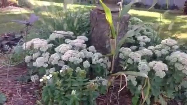 Butterflies love the heat смотреть онлайн