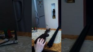 Ружье ИЖ 54