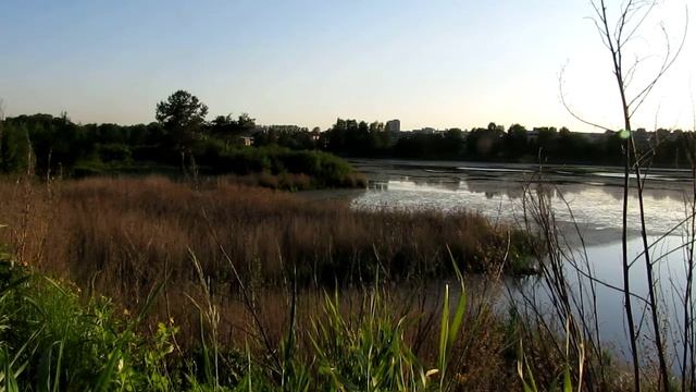 Нижнее большое Суздальское озеро смотреть онлайн