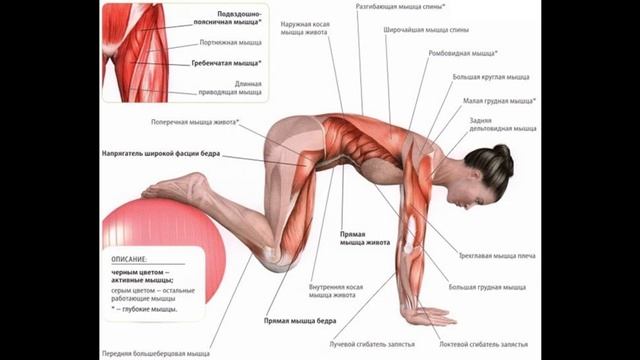 Хотите крепкий пресс? Используйте эти хитрости!