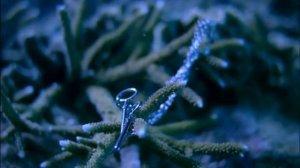 ХАКИ - ОТПУСТИ