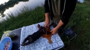 ЖАРЕНЫЙ СУРОК НА УГЛЯХ (БАЙБАК) ОБЕД ОХОТНИКА