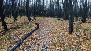 Интервальная тренировка, прыжковая имитация.