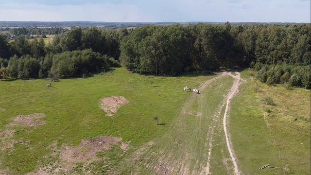 Бородинский хутор в деревне Горки. Видео обзор хутора и катание на лошадках. смотреть онлайн