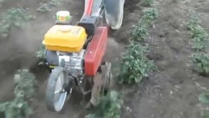 Окучивание картошки плугом
