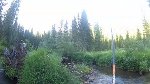 Рыбалка на хариуса летом на р.Балахтисоне.